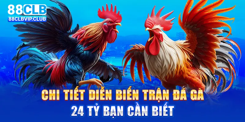 Trận gà 24 tỷ – Chi tiết về trận đấu kinh điển