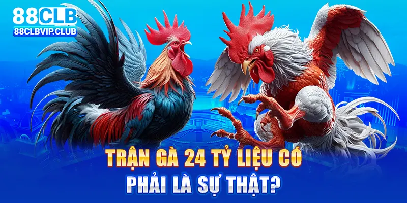 Trận gà 24 tỷ liệu có phải là sự thật?